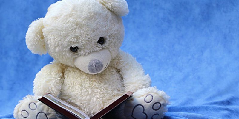 still-life-teddy-white-read